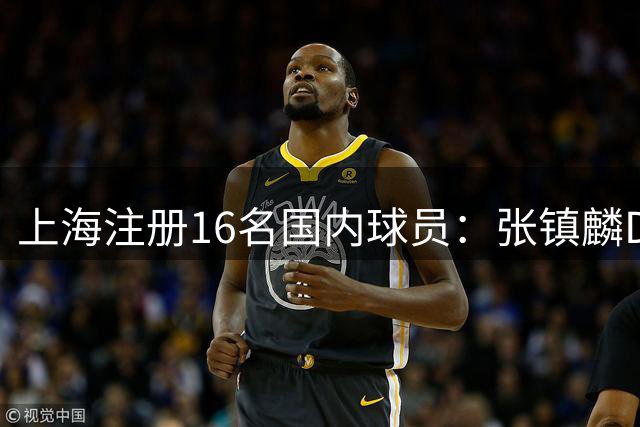 上海注册16名国内球员：张镇麟D类顶薪续约四年 李弘权两年C类