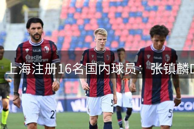 上海注册16名国内球员：张镇麟D类顶薪续约四年 李弘权两年C类